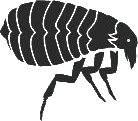 Flöhe Logo - Kammerjäger Riedstadt
