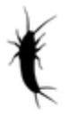 Silberfische Logo - Kammerjäger Riedstadt